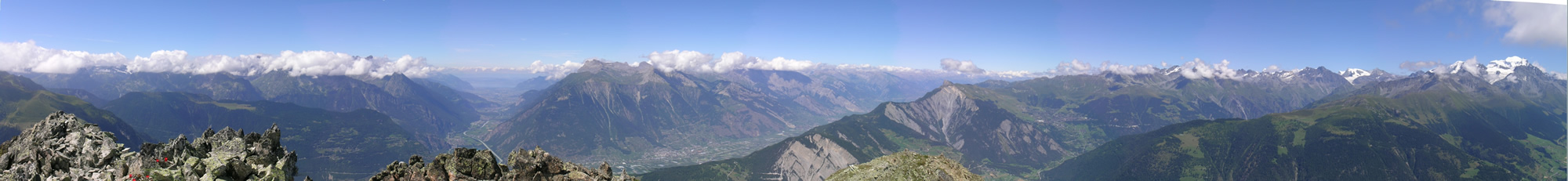 catogne